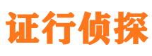 八公山市调查公司